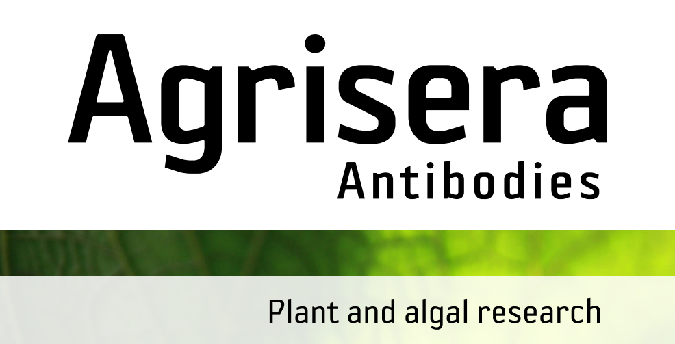 Agrisera MicroRNA相關(guān)研究植物蛋白抗體火熱促銷中！